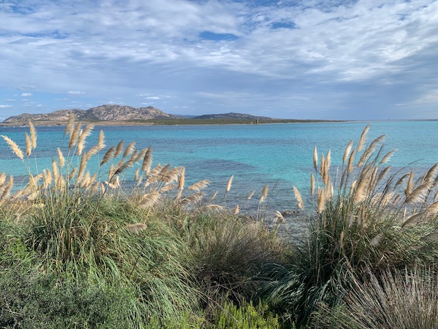 Karibikinsel im Europa Sardinien: Stintino Strand
