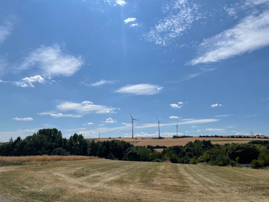 Weinstraße - Landschaft