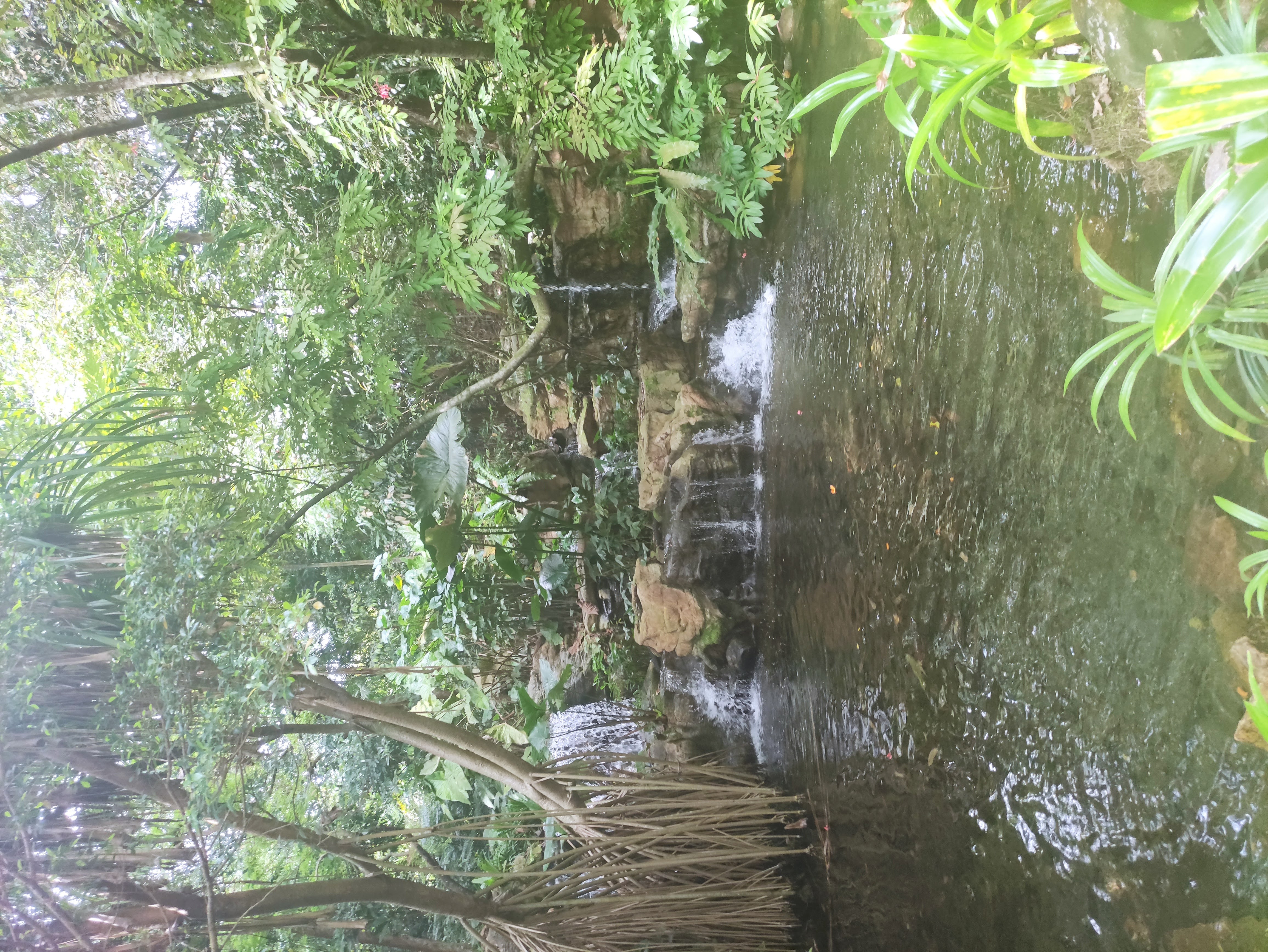 Botanischer Garten Singapur