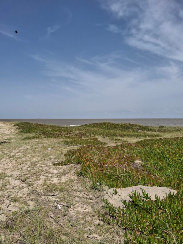 Küste von Montevideo im Stadtteil Carrasco